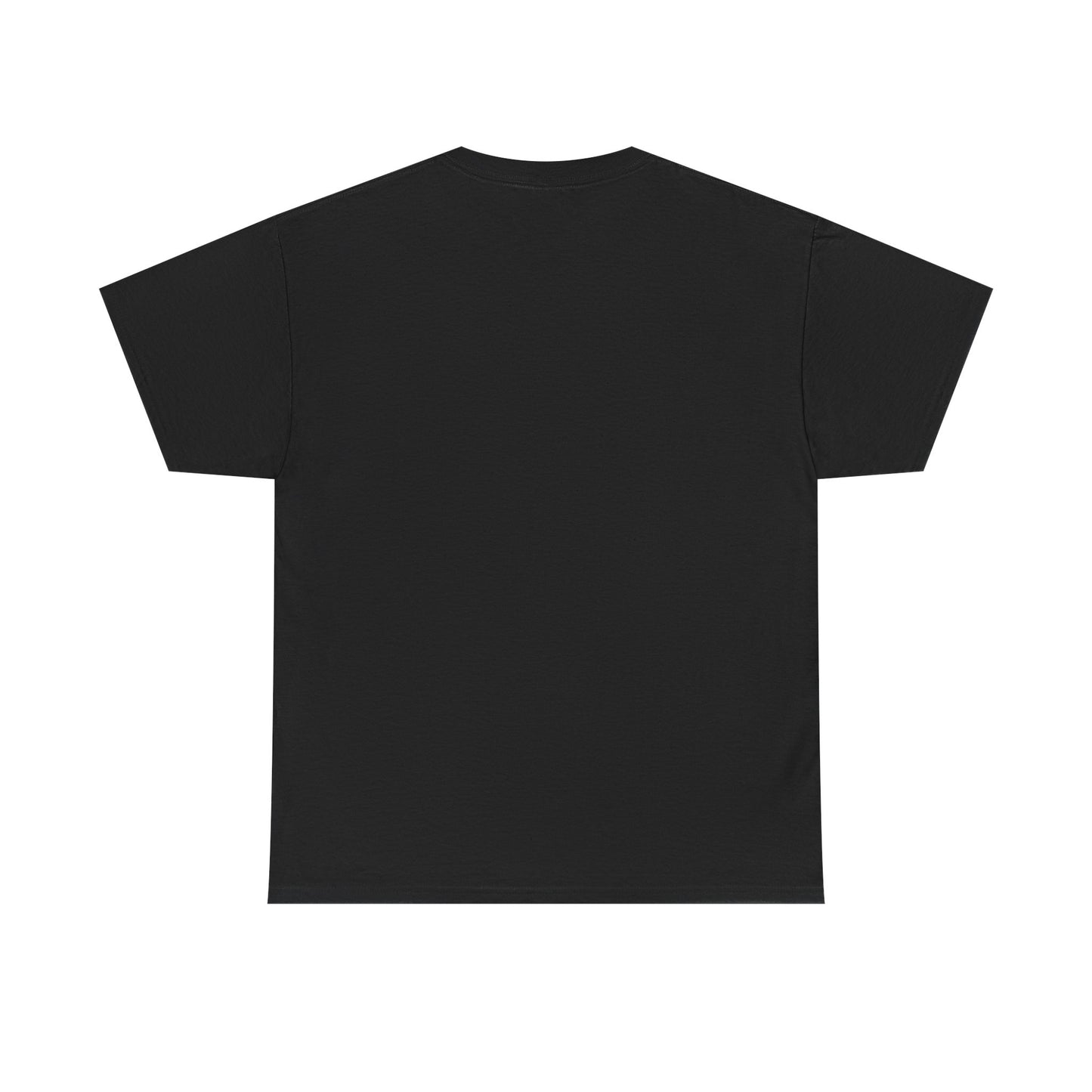 Kali Connect / P.T.S.D Heavy Cotton T-Shirt