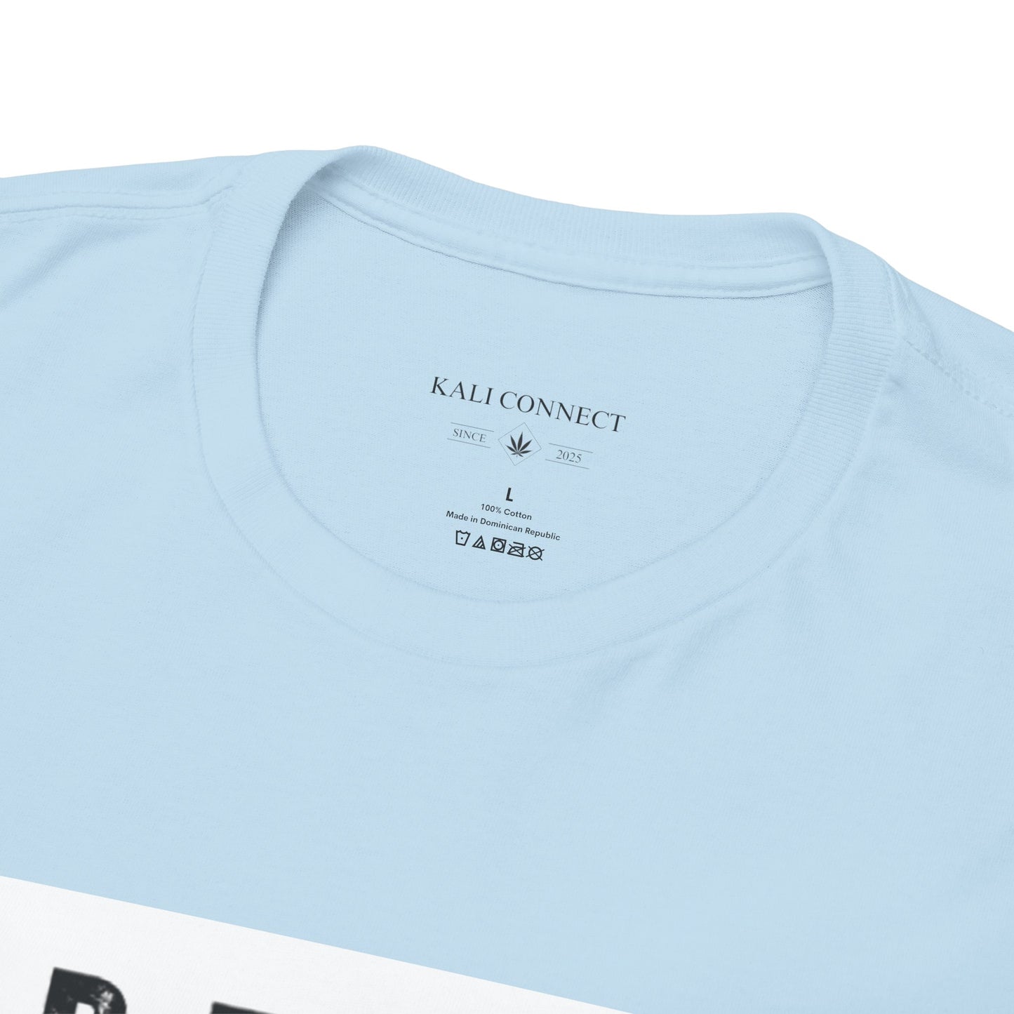 Kali Connect / P.T.S.D Heavy Cotton T-Shirt
