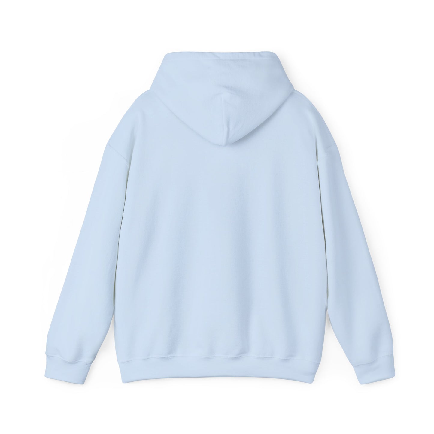 Kali Connect / P.T.S.D Hoodie