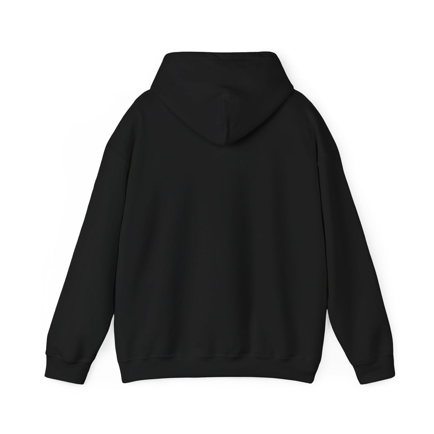 Kali Connect / P.T.S.D Hoodie
