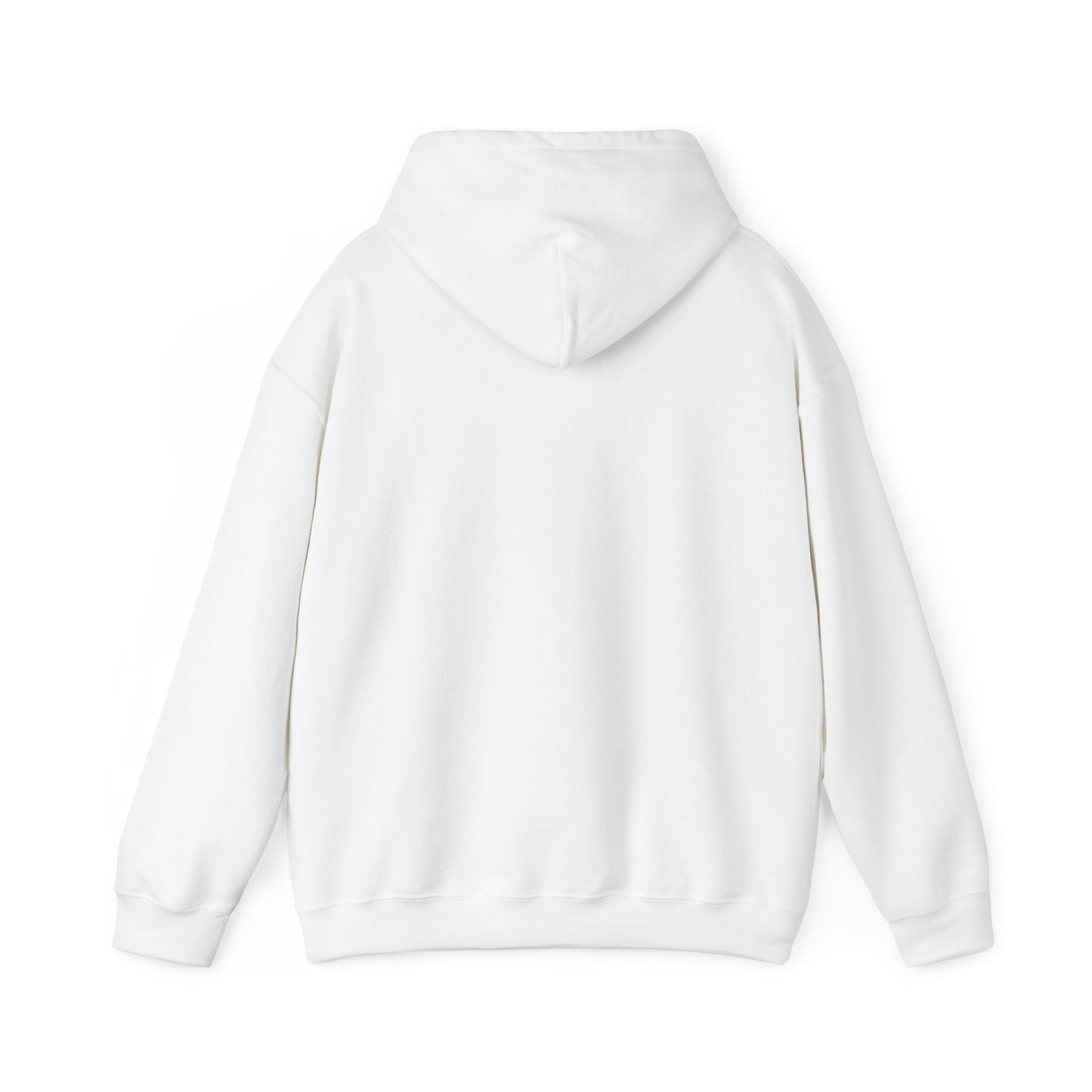 Kali Connect / P.T.S.D Hoodie