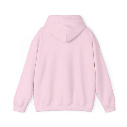 Kali Connect / P.T.S.D Hoodie