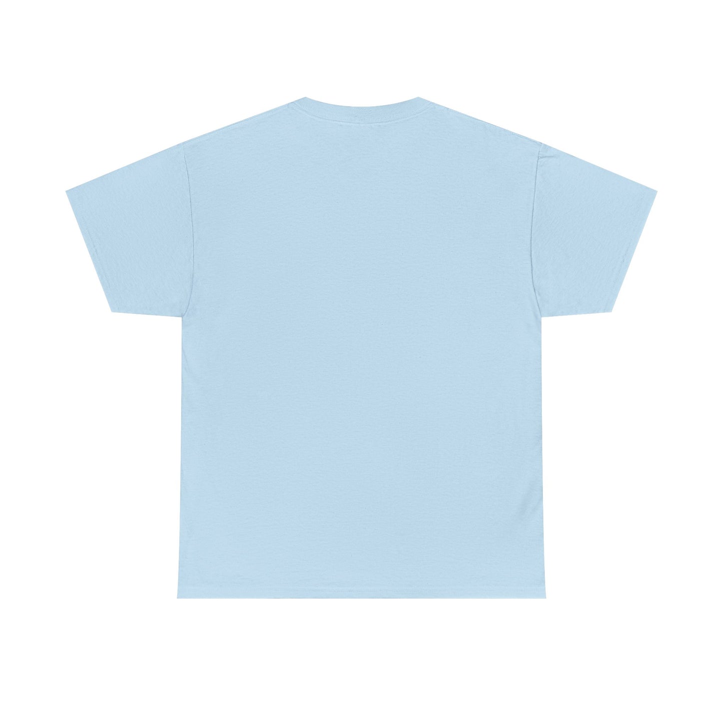 Kali Connect / P.T.S.D Heavy Cotton T-Shirt