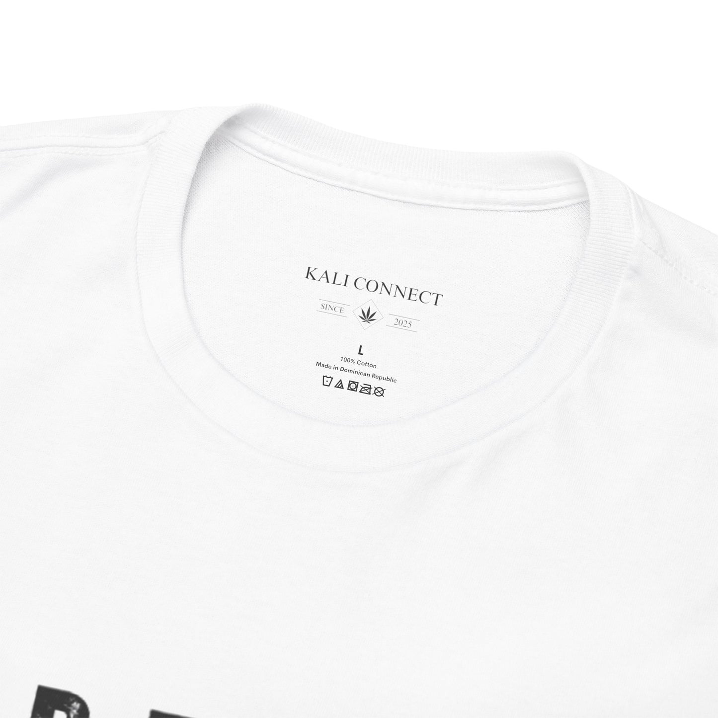 Kali Connect / P.T.S.D Heavy Cotton T-Shirt