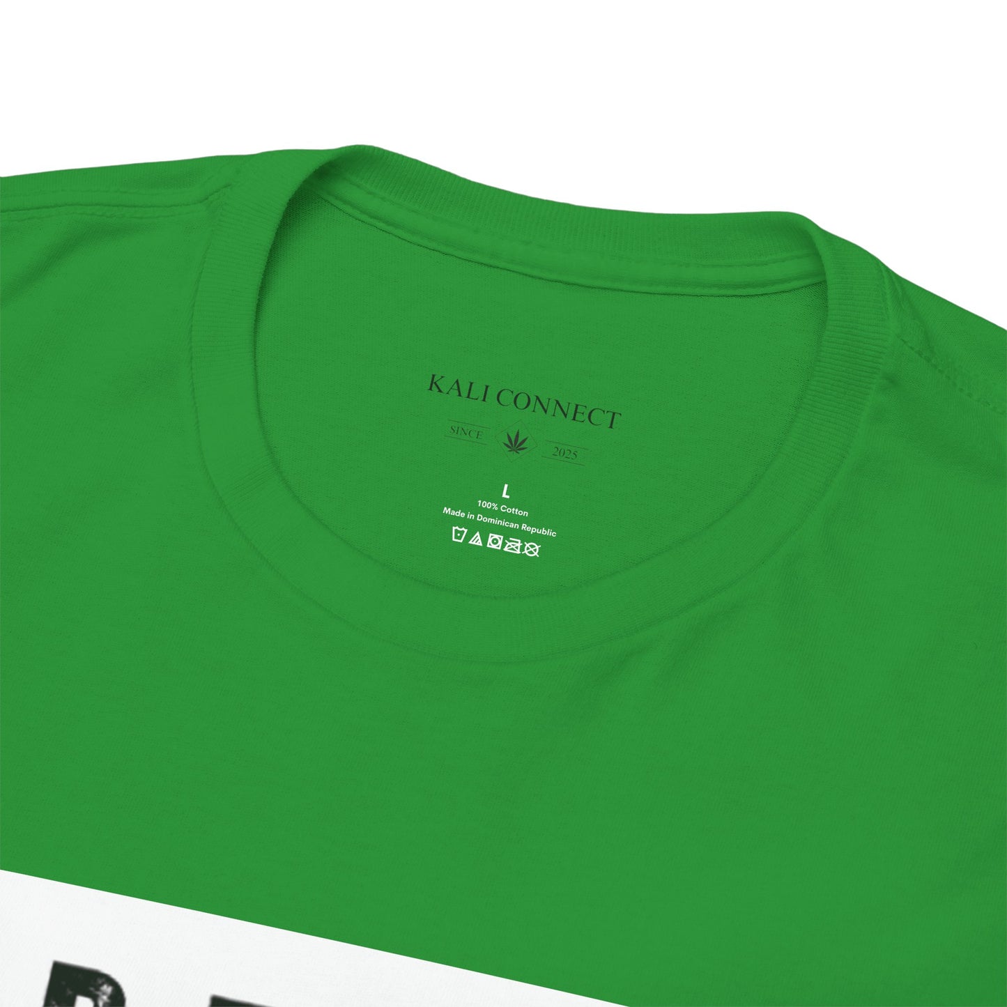 Kali Connect / P.T.S.D Heavy Cotton T-Shirt