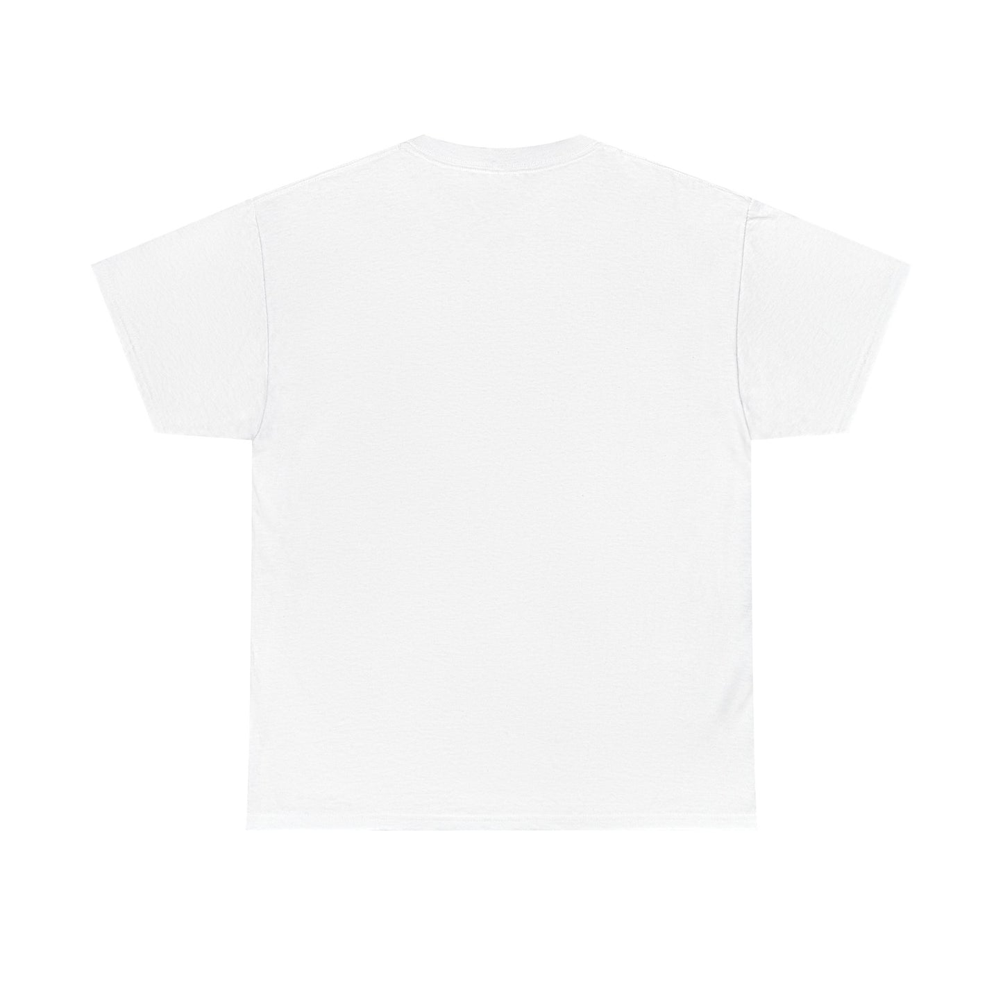 Kali Connect / P.T.S.D Heavy Cotton T-Shirt