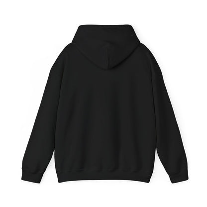 Kali Connect / P.T.S.D Hoodie