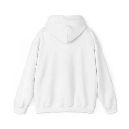 Kali Connect / P.T.S.D Hoodie